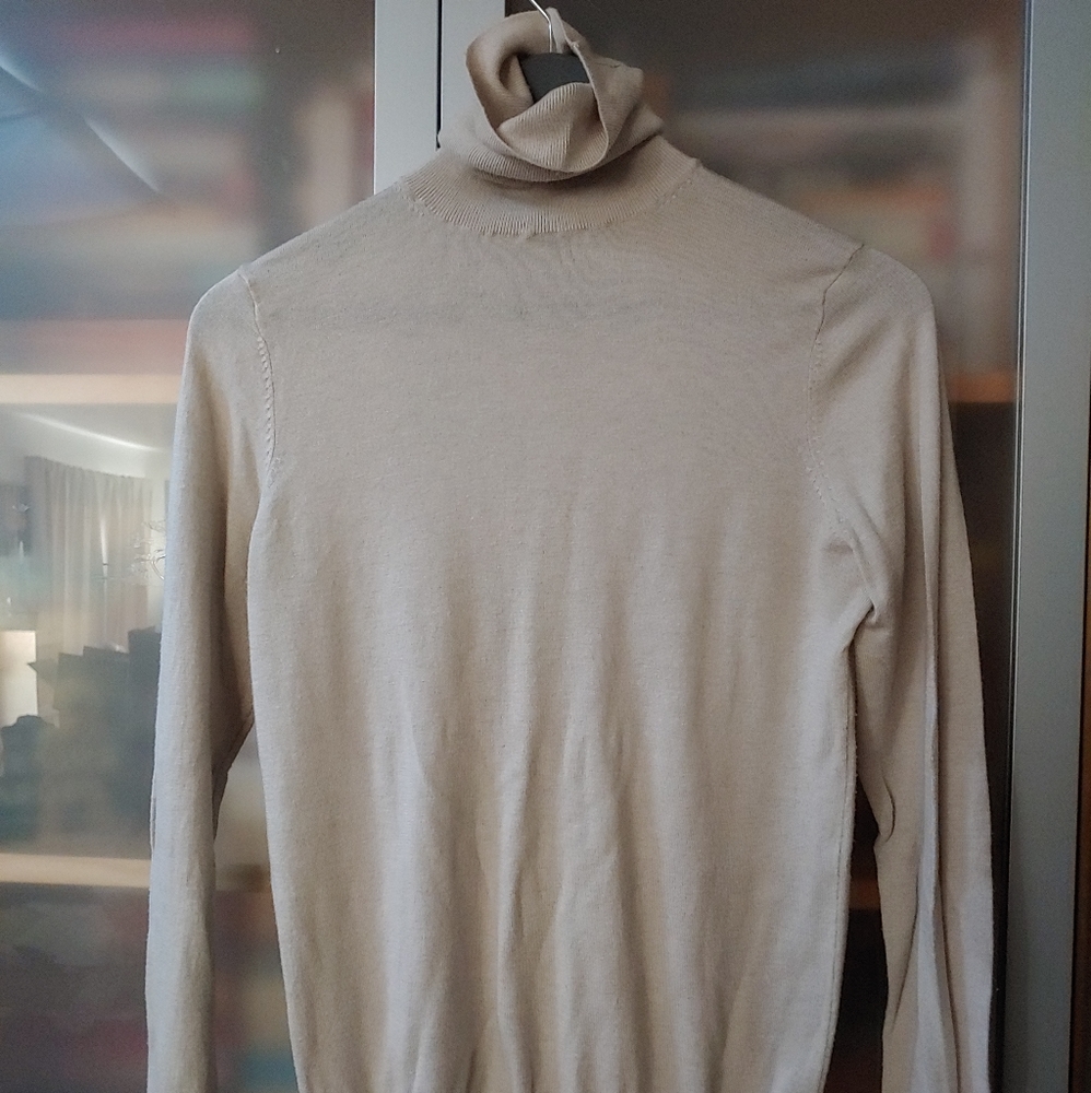 Ann Taylor Cream Turtleneck sweater.